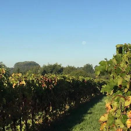 Bed and Breakfast La Girarde 4*