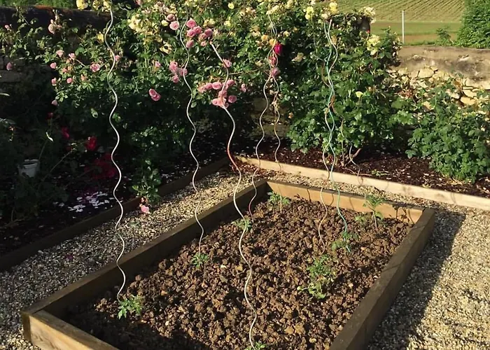 Bed & Breakfast La Girarde Saint-Quentin-de-Caplong