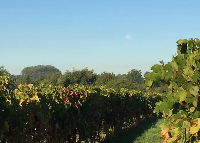 Bed & Breakfast La Girarde 4*